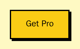 CheckoutButton labelled Get Pro, neobrutal theme