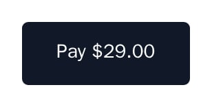 Checkout pay button for a checkout result, labelled Pay $29.00, minimal theme