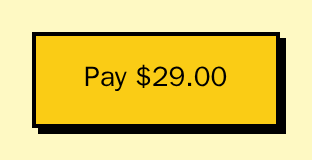 Checkout pay button for a checkout result, labelled Pay $29.00, neobrutal theme
