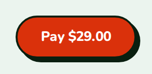 Checkout pay button for a checkout result, labelled Pay $29.00, nozle theme