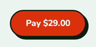 Checkout pay button for a checkout result, labelled Pay $29.00, nozle theme