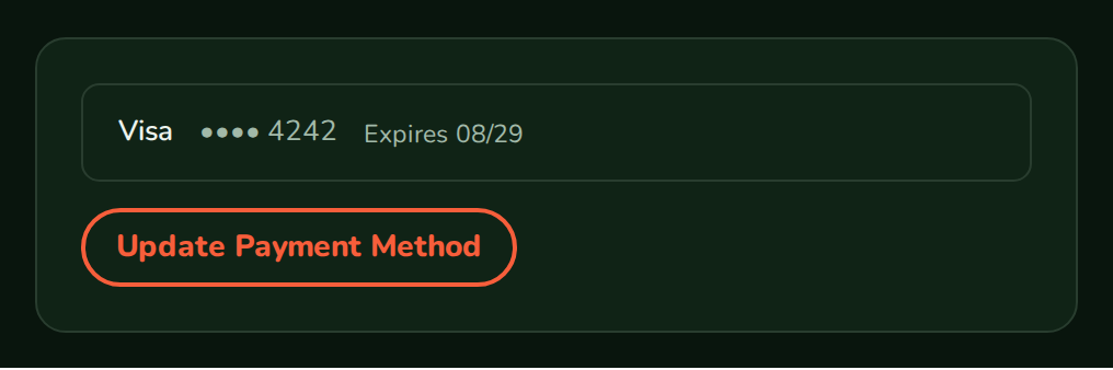 PaymentMethodDisplay with a Visa ending 4242 that expires 08/29, nozleDark theme