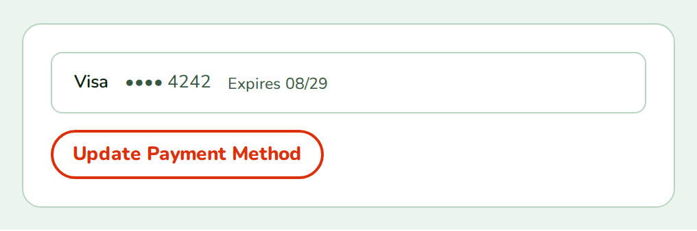 PaymentMethodDisplay with a Visa ending 4242 that expires 08/29, nozle theme