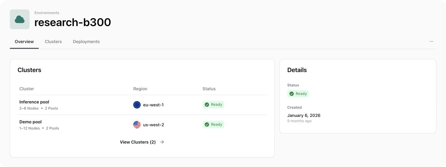 The environment detail page showing the Overview tab.