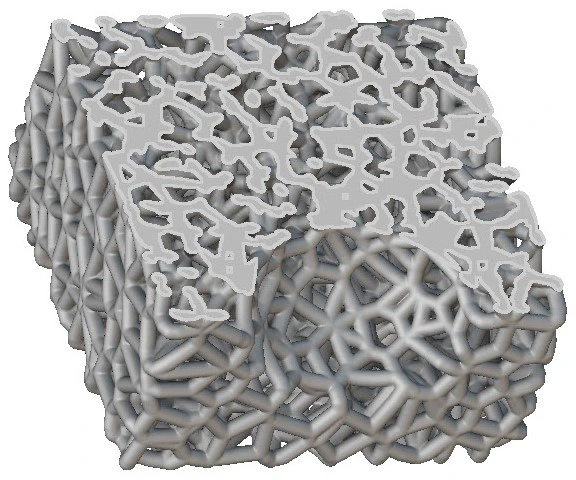 A voronoi lattice that has a section cut applied to show the internal lattice structure.