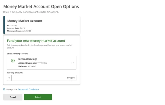 Money Market Account Open Options — Internal Savings ****59905 (Balance $3,595.42) selected, Funding amount $1,000.00, Terms and Conditions checked