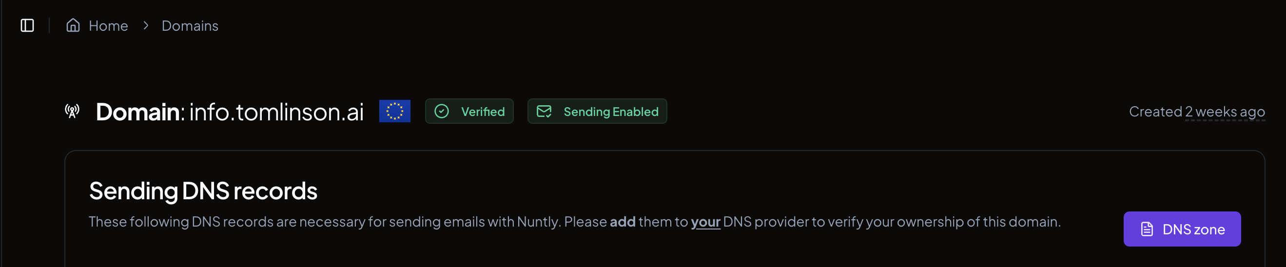 The domain detail page showing the DNS zone button