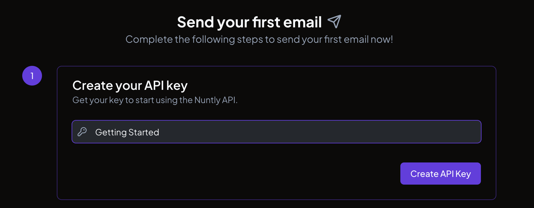 The getting started page showing step 1 with the API key name input field