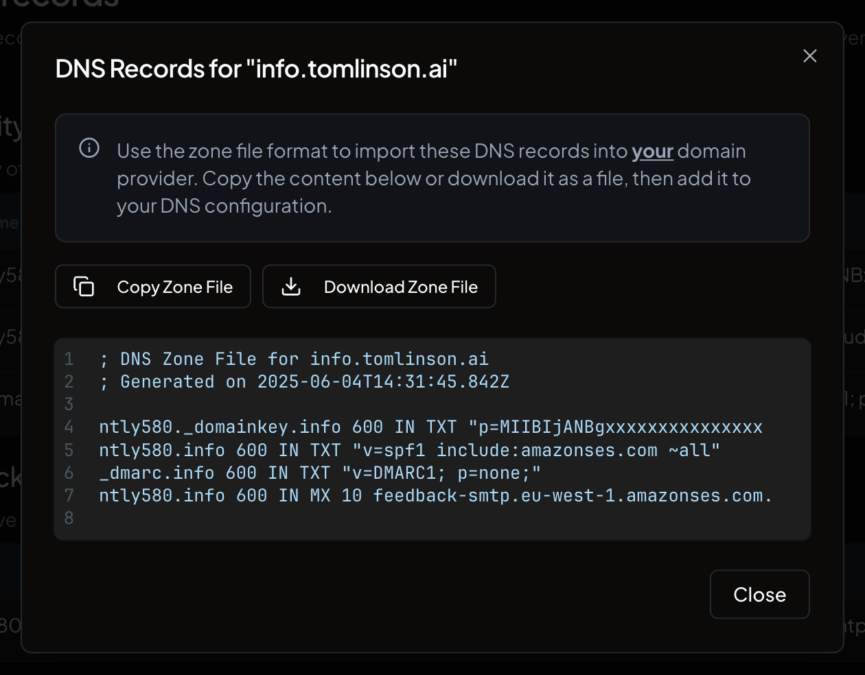 The DNS zone dialog showing the generated zone file content with copy and download buttons