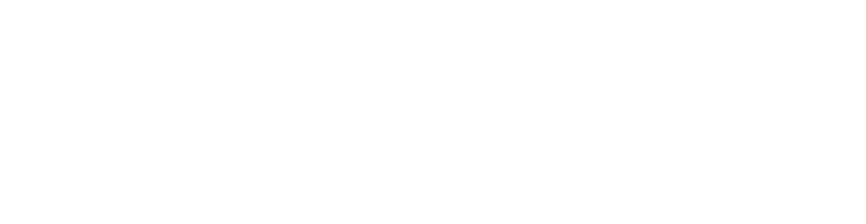 dark logo