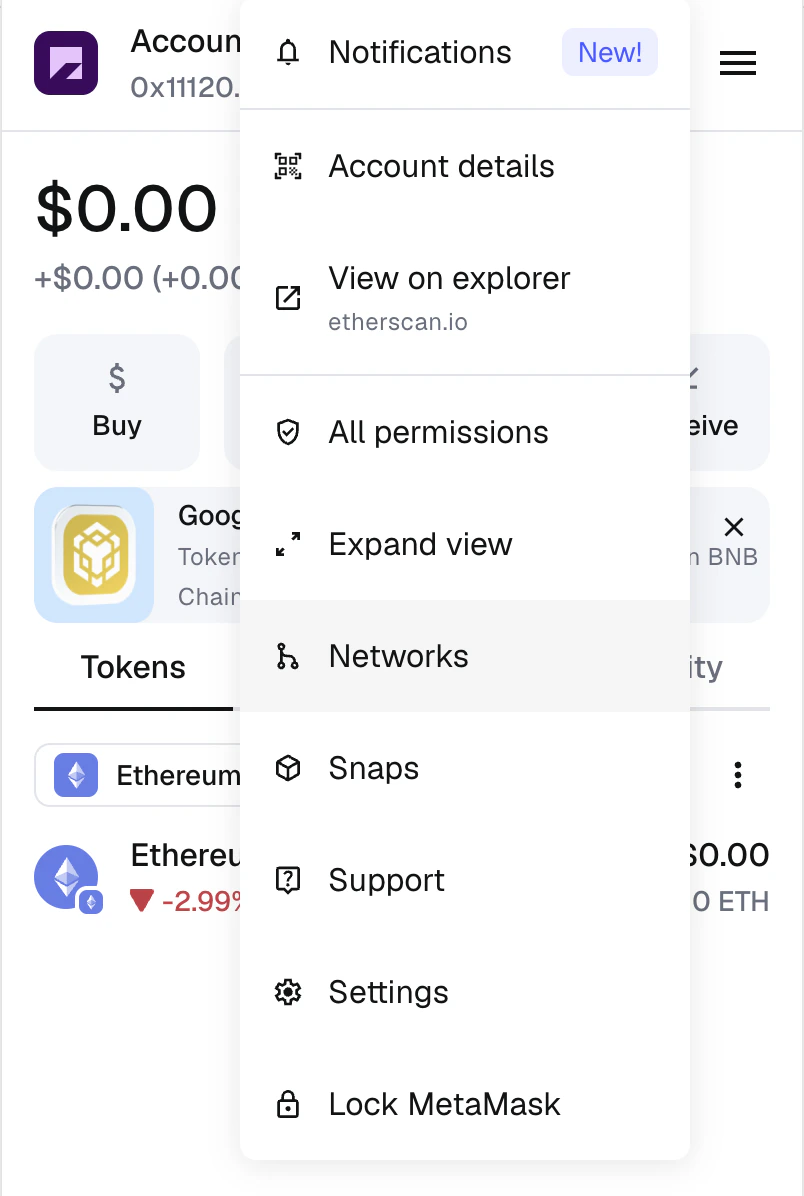 MetaMask Network Settings