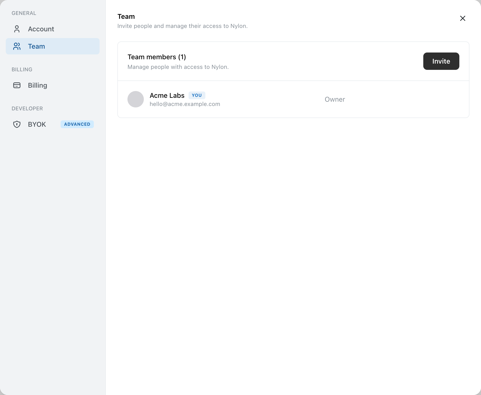 Nylon Team settings panel listing members with their email and role, and an Invite button