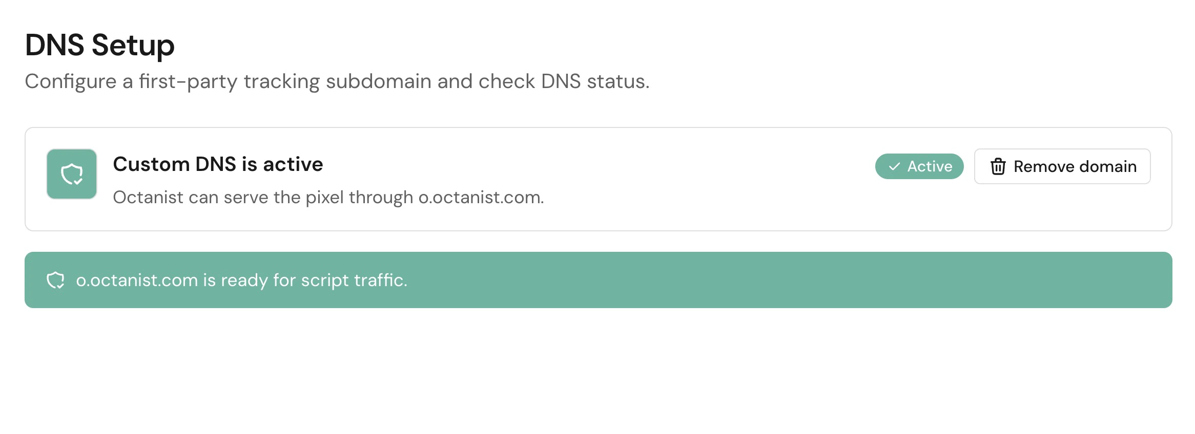 Custom DNS is active in Octanist
