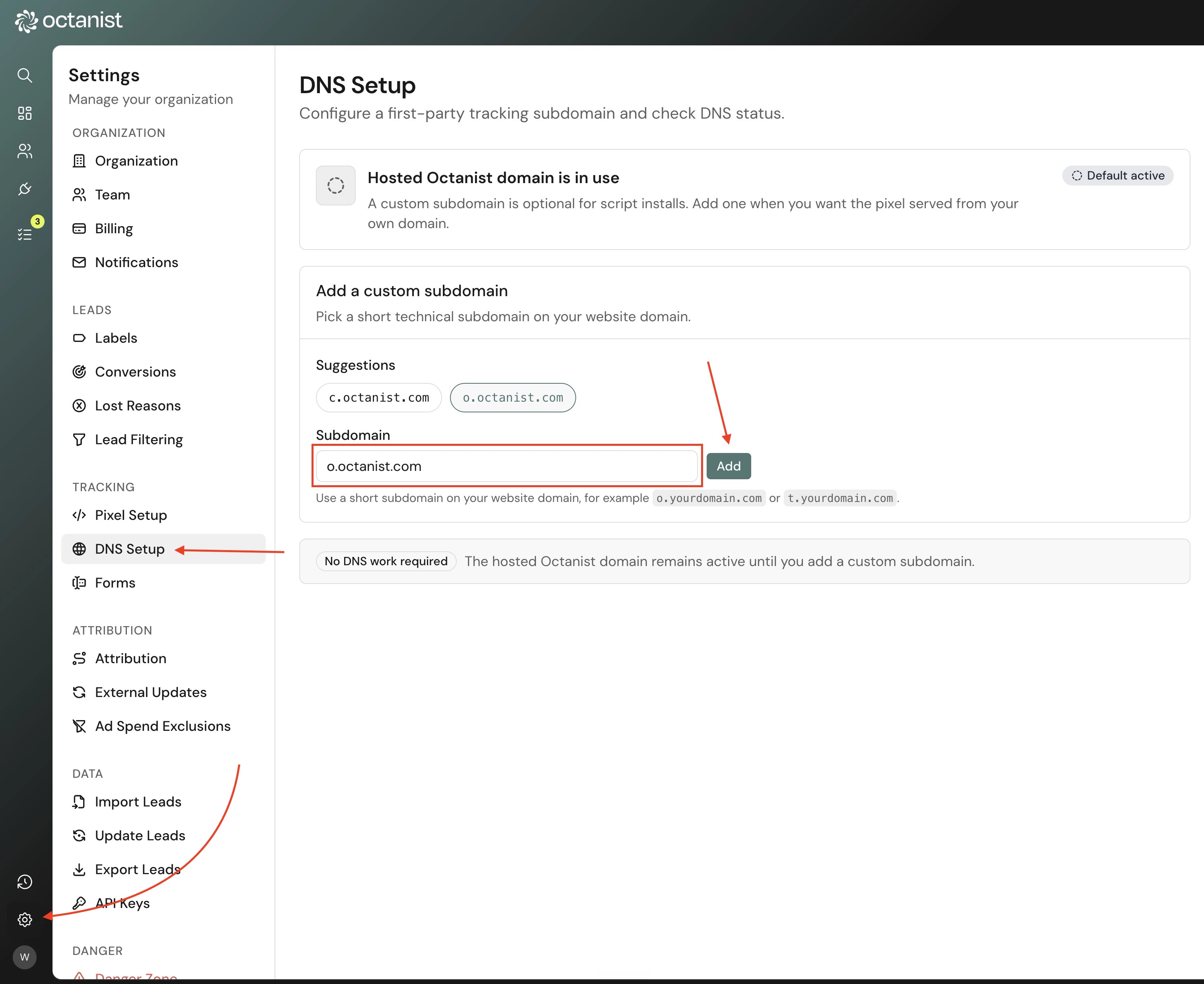Create a custom DNS setup in Octanist