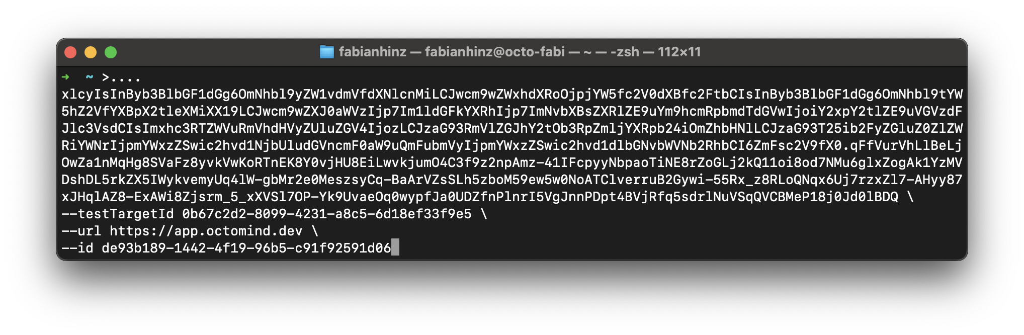 Pasting debugtopus shell script to terminal, 02/2024