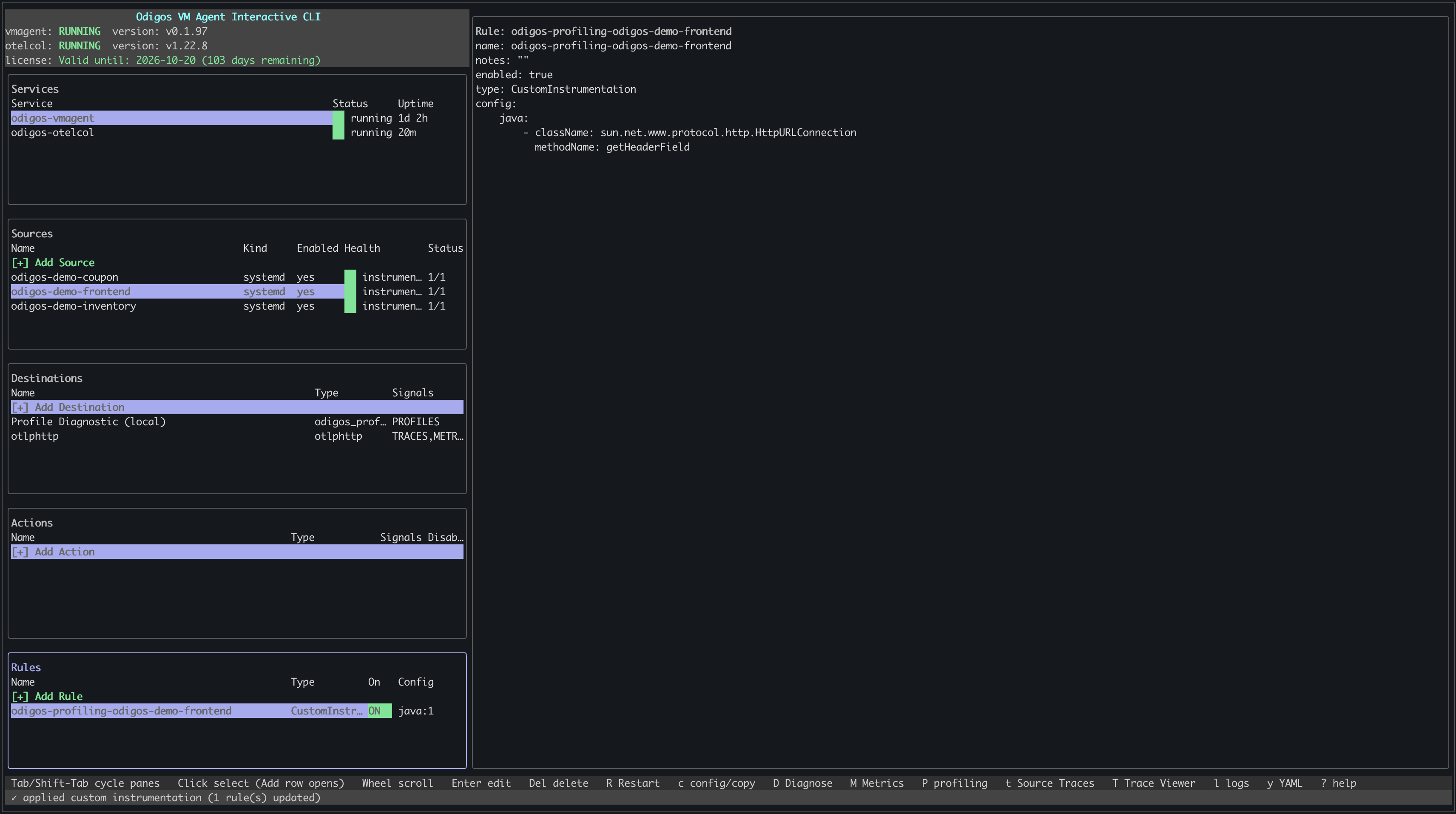 odictl Rules section showing the generated profiling rule and its config