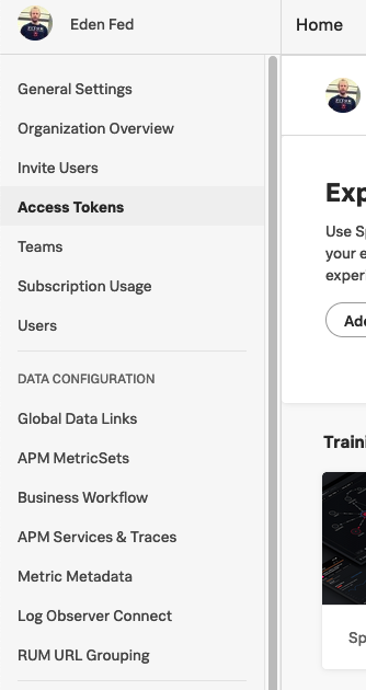 Splunk Access Tokens menu