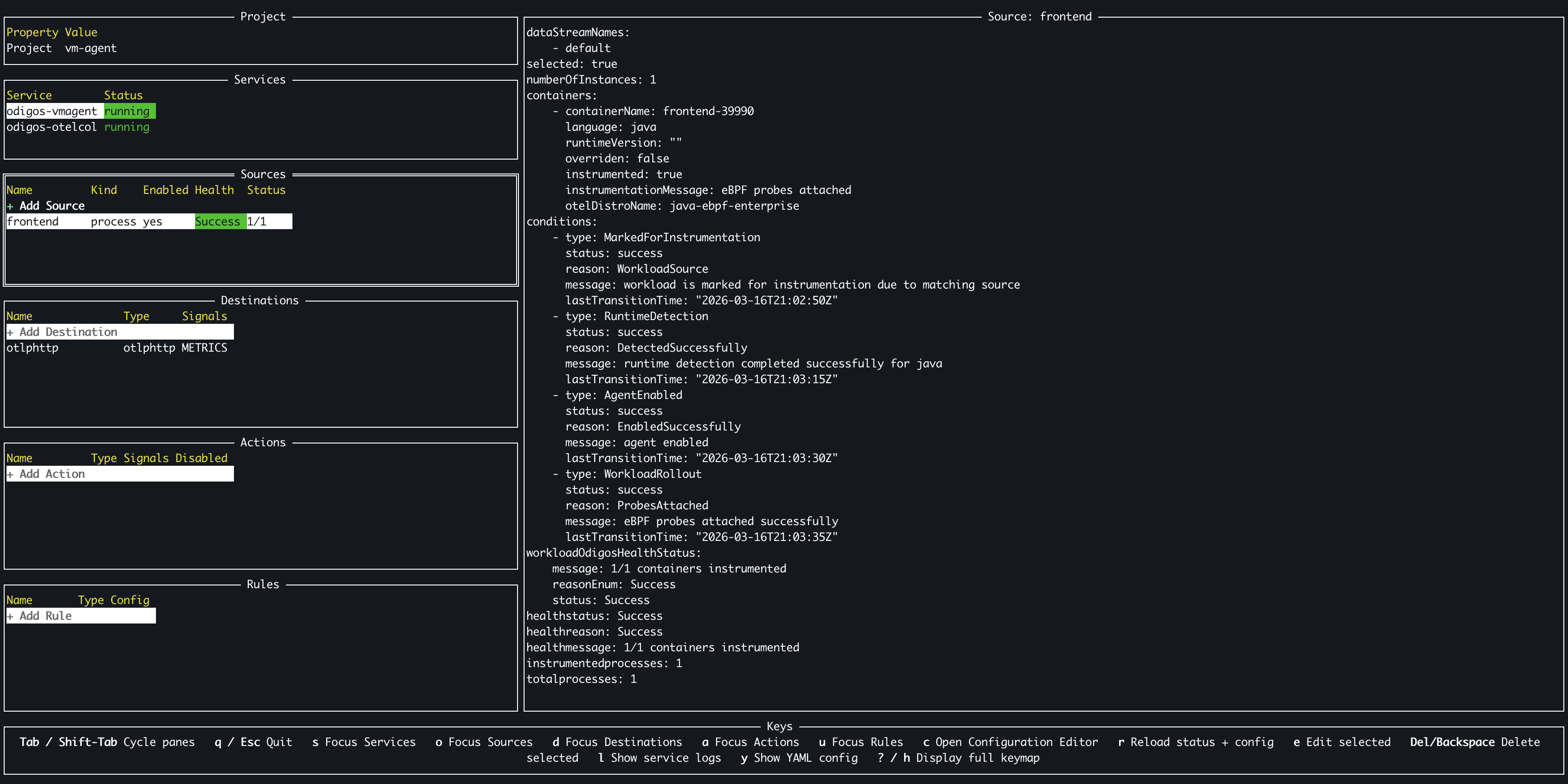Verify Instrumentation