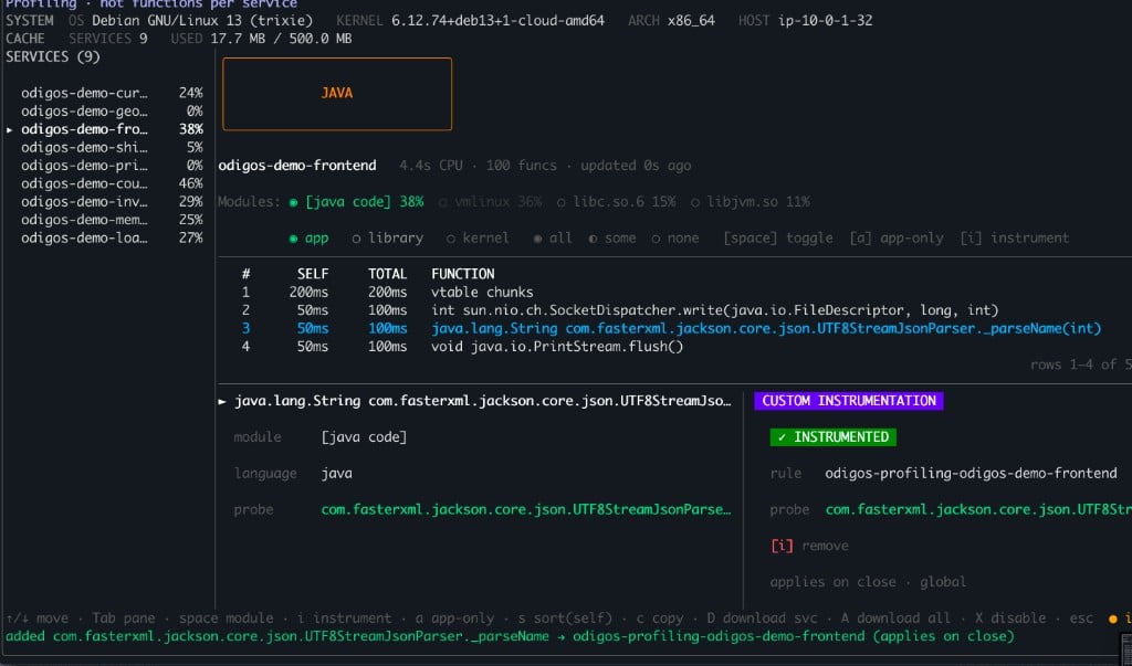 odictl profiling view showing the _parseName function marked as Instrumented