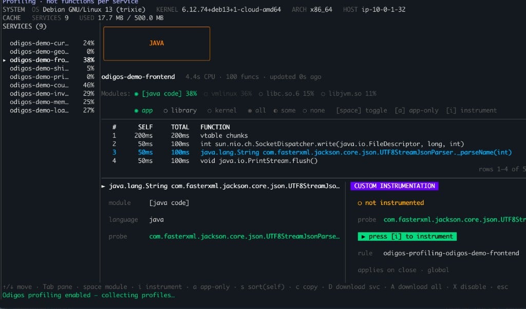 odictl profiling view with the _parseName function selected, before instrumenting