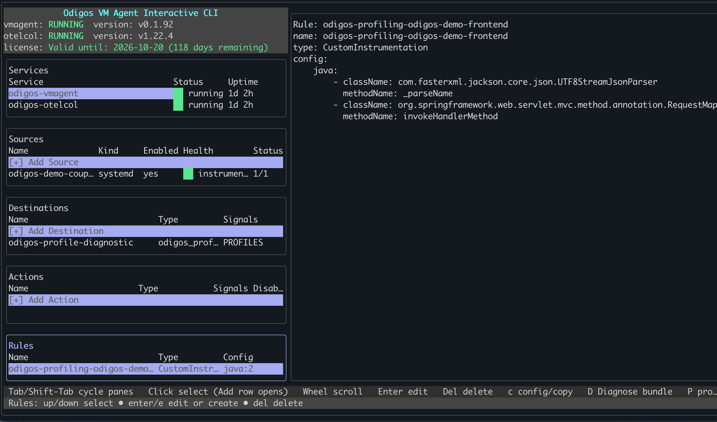 odictl Rules section showing the generated profiling rule and its config