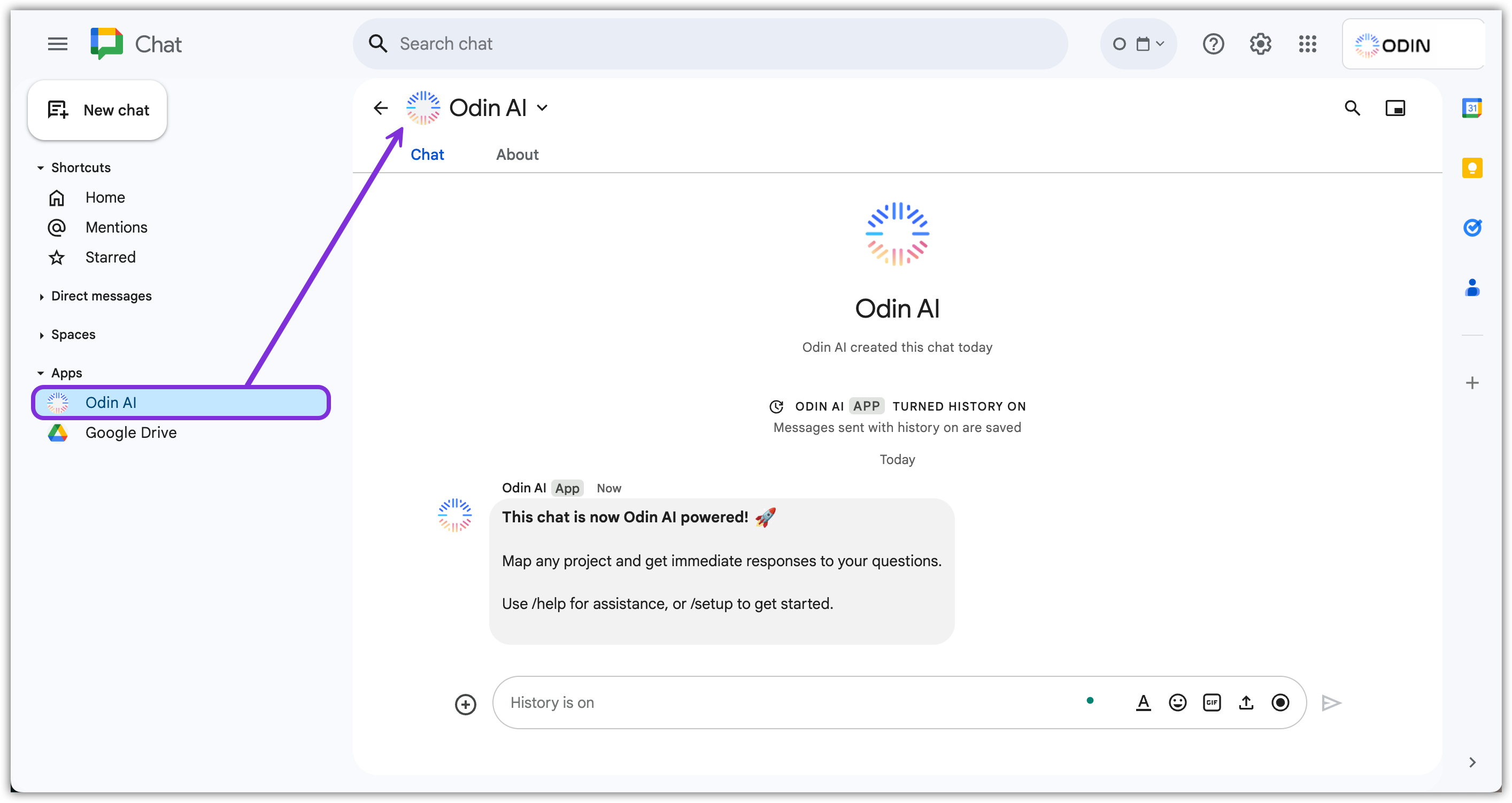 Find Odin AI in Google Chat