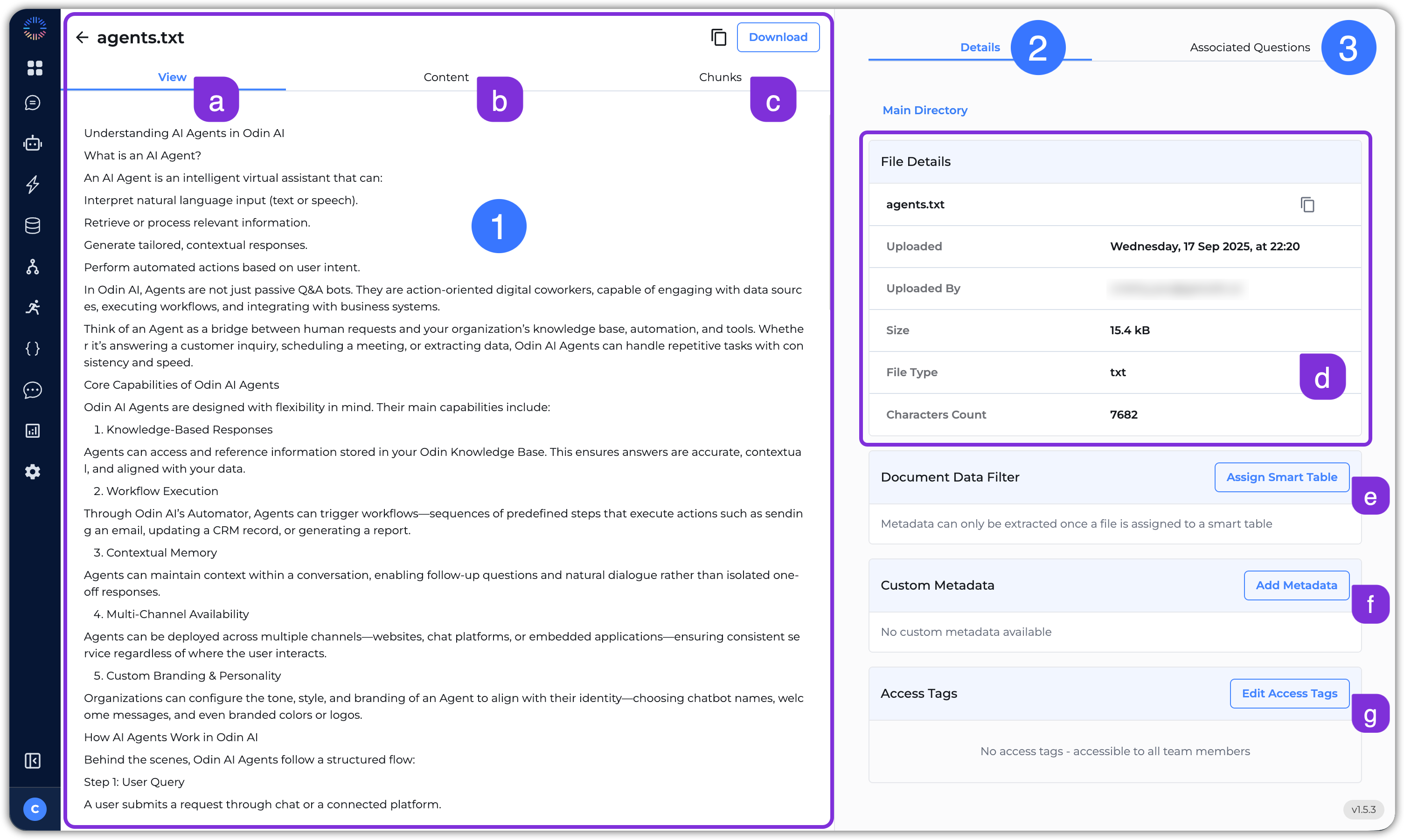Document Viewing Interface