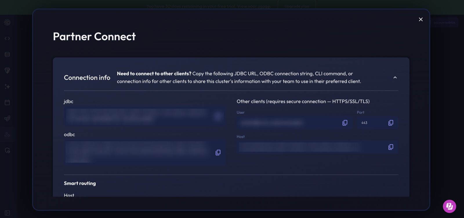 Starburst Galaxy Partner Connect dialog with the cluster host under Connection info
