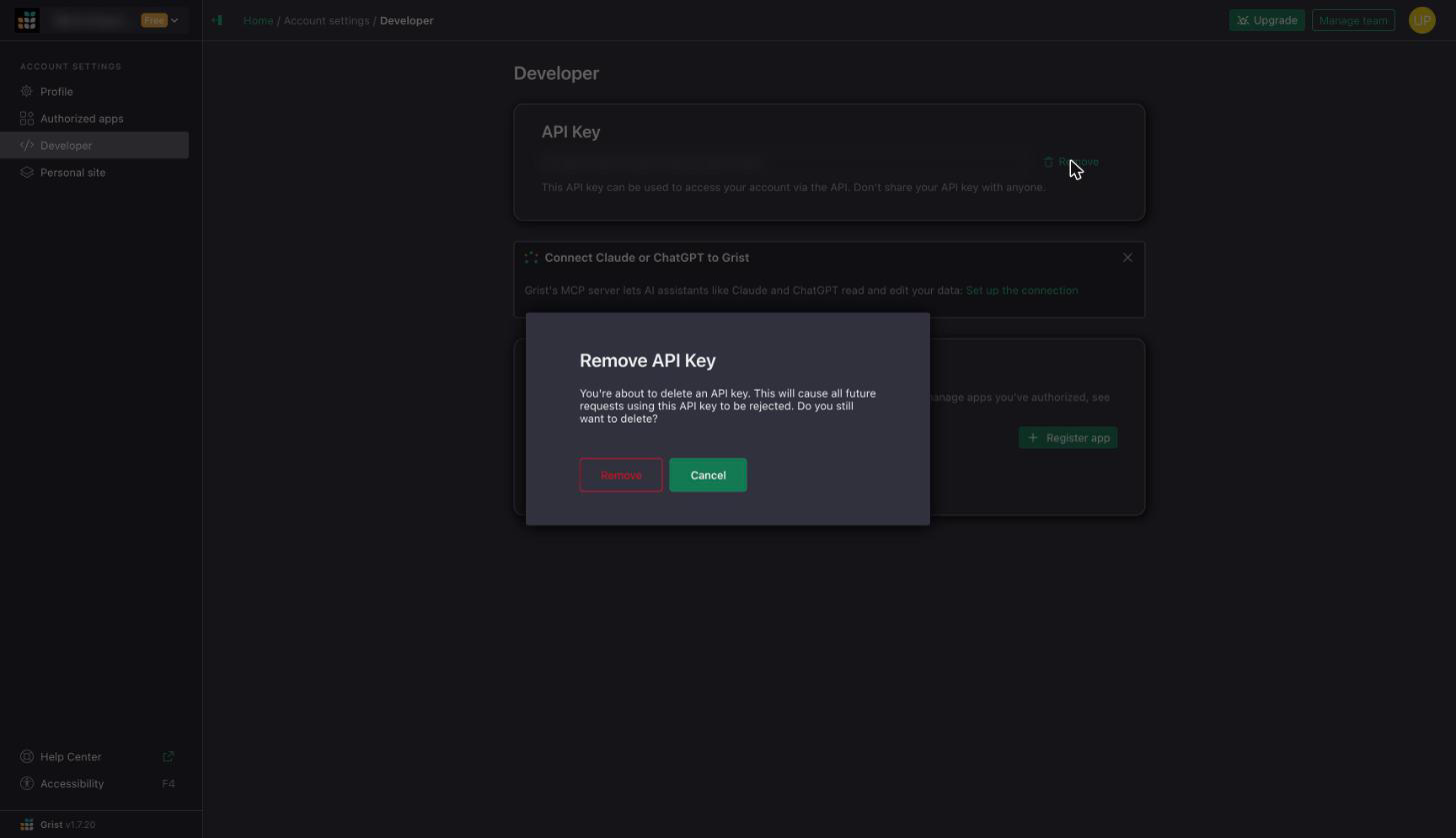 Remove API Key confirmation dialog