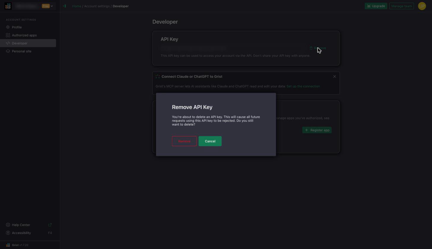 Remove API Key confirmation dialog