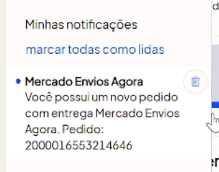 Mercado Envios Agora — detalhes do pedido no sistema