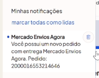 Mercado Envios Agora — detalhes do pedido no sistema