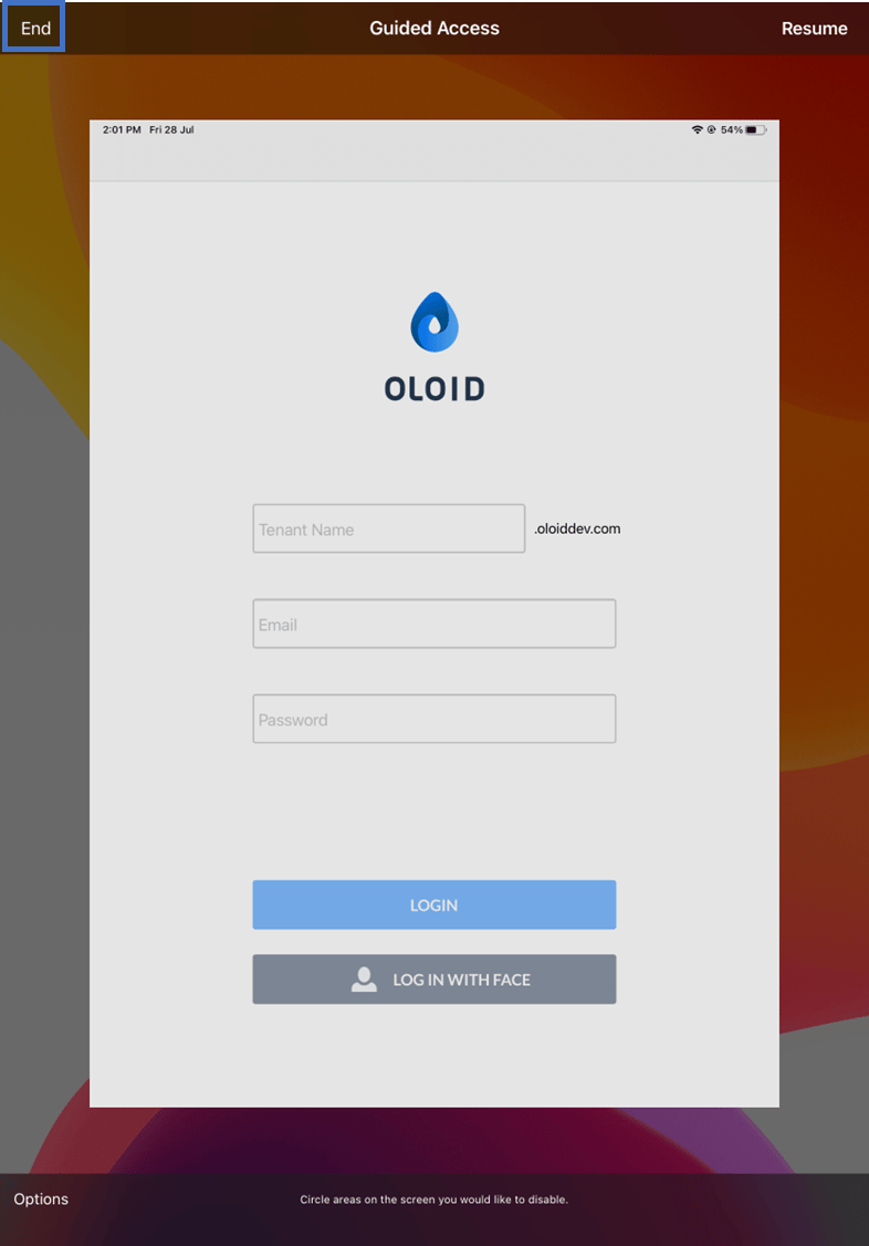 Set up iPad in Kiosk Mode (Archived) - screenshot 5