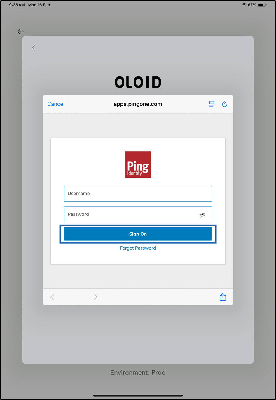 Login using Ping One SSO - screenshot 6