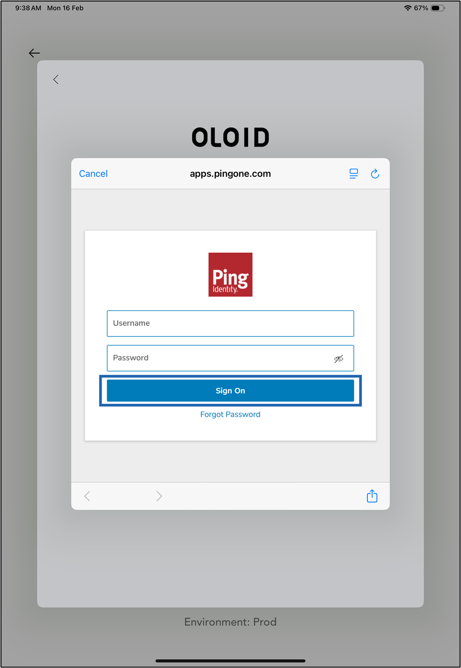 Login using Ping One SSO - screenshot 6