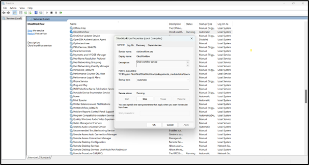 Instruction for Workflow Instance Setup... - screenshot 21