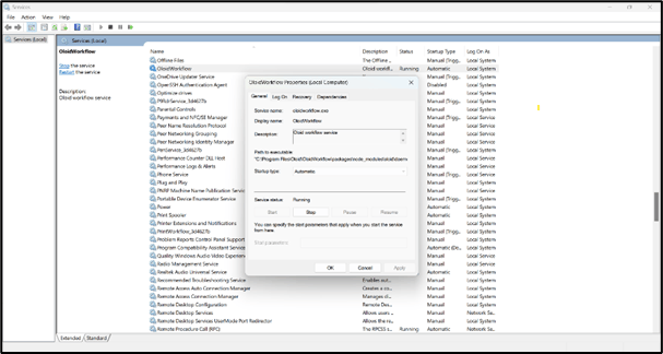 Instruction for Workflow Instance Setup... - screenshot 21