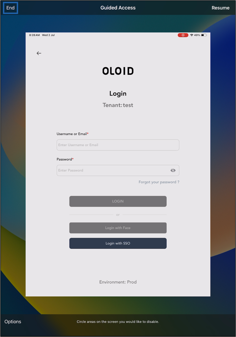Set up iPad in Guided Access Mode or... - screenshot 9