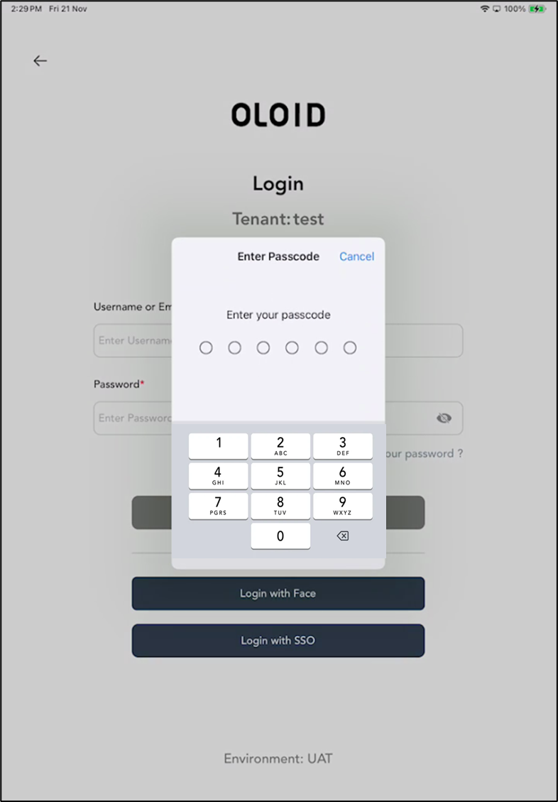 Set up iPad in Guided Access Mode or... - screenshot 8