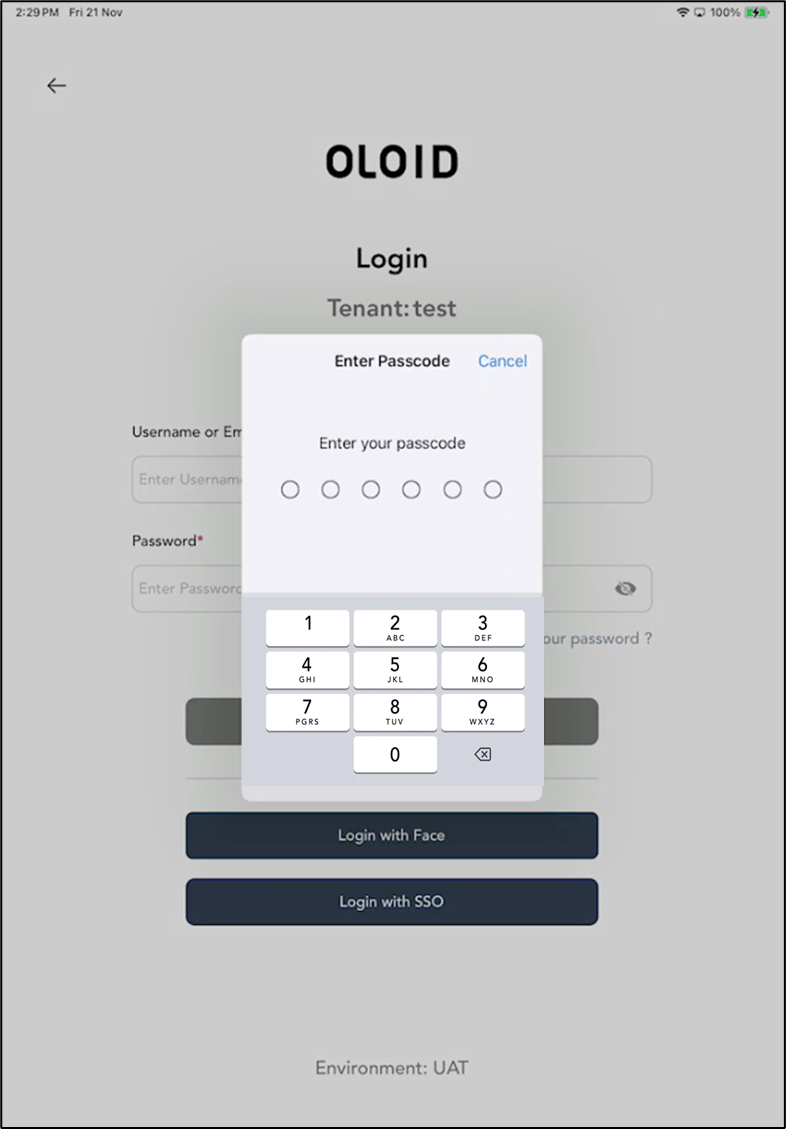 Set up iPad in Guided Access Mode or... - screenshot 8