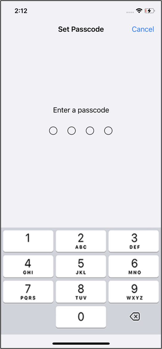 Set up iPhone in Guided Access Mode - screenshot 6