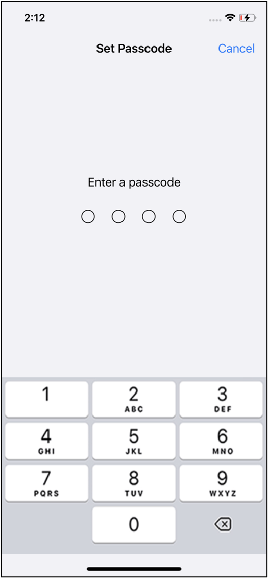 Set up iPhone in Guided Access Mode - screenshot 6