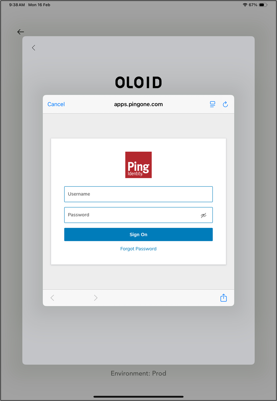 Login using PingOne SSO - screenshot 7