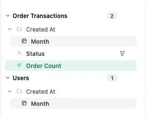Selected fields in the Omni query builder