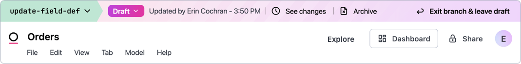 The green and pink branch header displayed at the top of a workbook