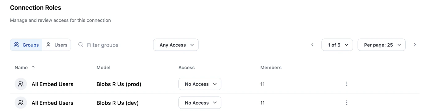 Connection Roles section showing groups listed with their model, access level dropdown, and member count