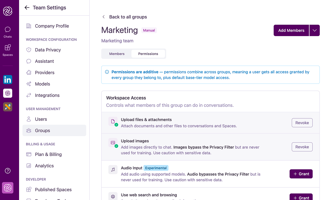 Group Permissions tab showing Workspace Access, Model Access, and Privacy sections