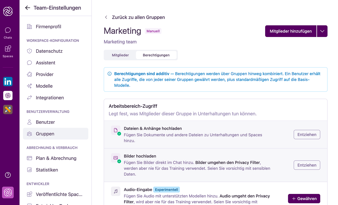 Reiter 'Gruppenberechtigungen' mit den Abschnitten Workspace-Zugriff, Modell-Zugriff und Datenschutz