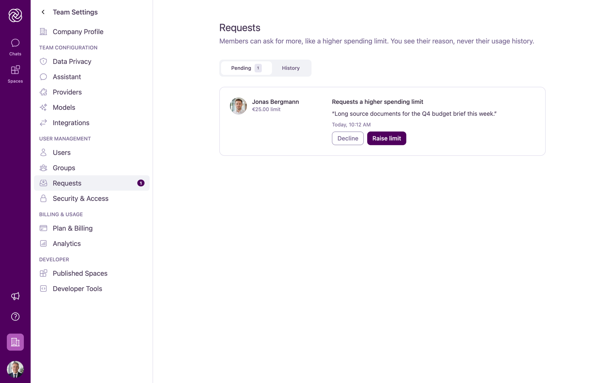 The Requests page in Team Settings showing a pending request for a higher spending limit with Decline and Raise limit buttons.