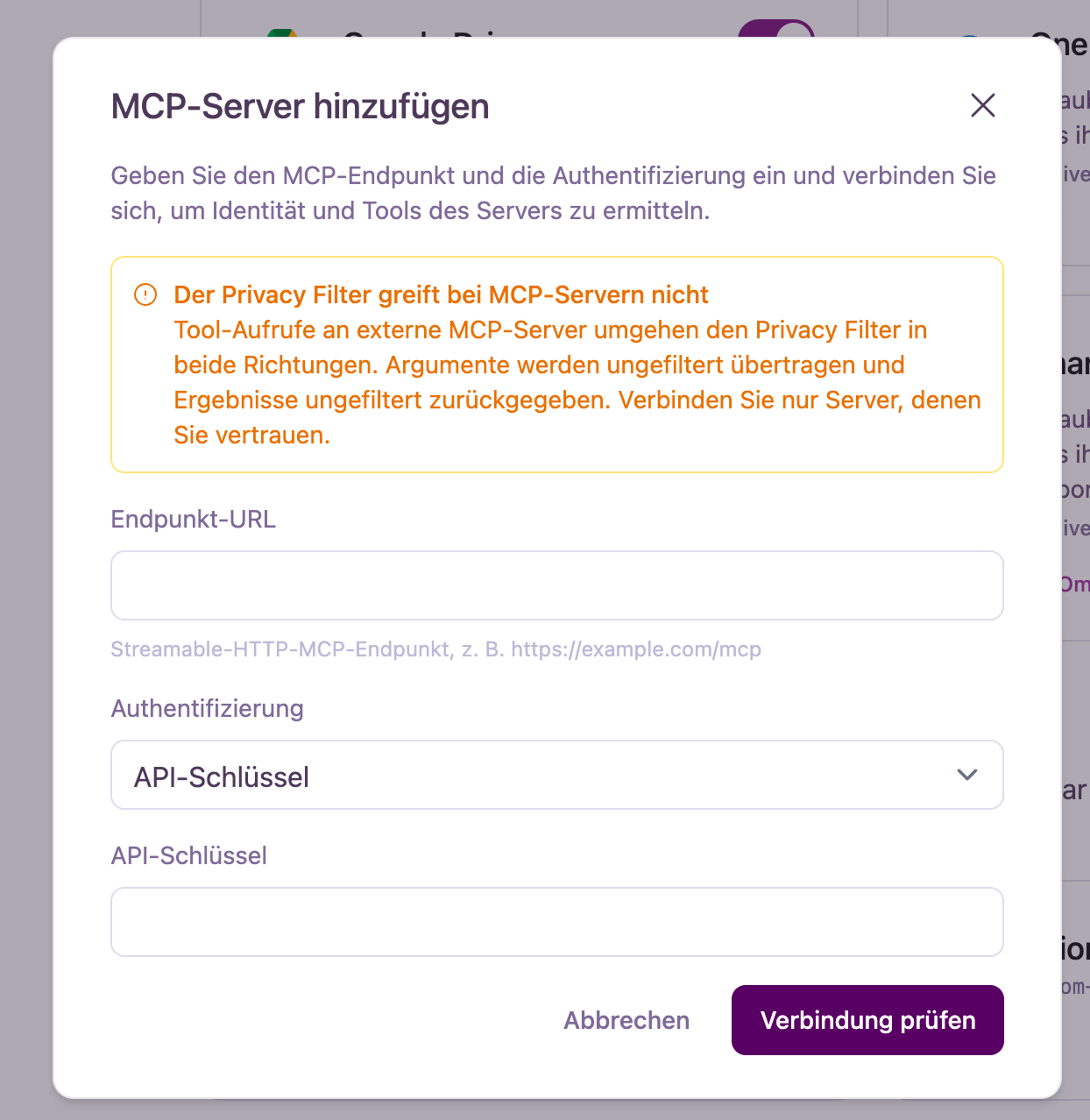 Dialog zum Hinzufügen eines MCP-Servers mit Hinweis zum Privacy Filter, Endpunkt-URL und API-Key-Authentifizierung